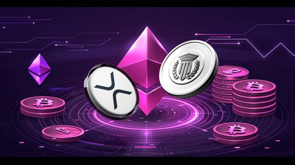 Investors Are Long On XRP Investors Are Long On XRP