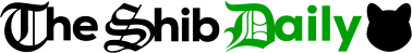 Shibarium Bridge: Dev Commits to Audits in 4-Phase Security Plan Shibarium Bridge: Dev Commits to Audits in 4-Phase Security Plan