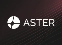 Aster DEX Suspends Airdrop After Allocation Discrepancies Spark Backlash Aster DEX Suspends Airdrop After Allocation Discrepancies Spark Backlash