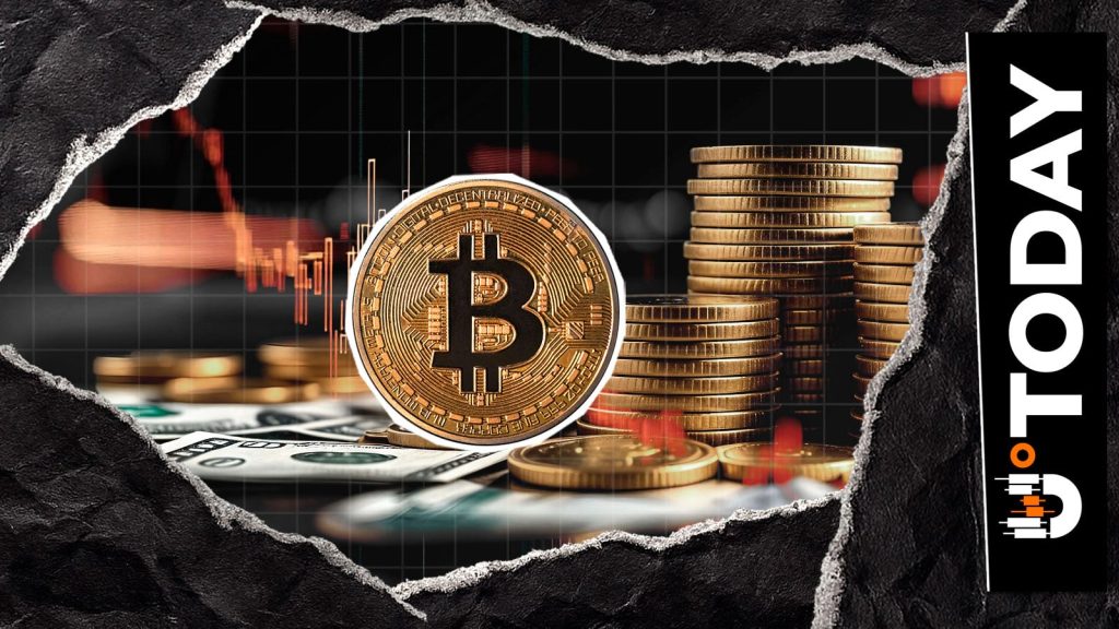 Bitcoin Whales Stack $217 Million Bid Wall While Sell Zone Looms at $80,000